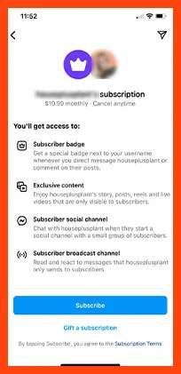 Instagram-Subscriptions